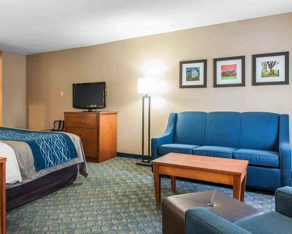 Comfort Inn&Suites Napoleon Chambre photo