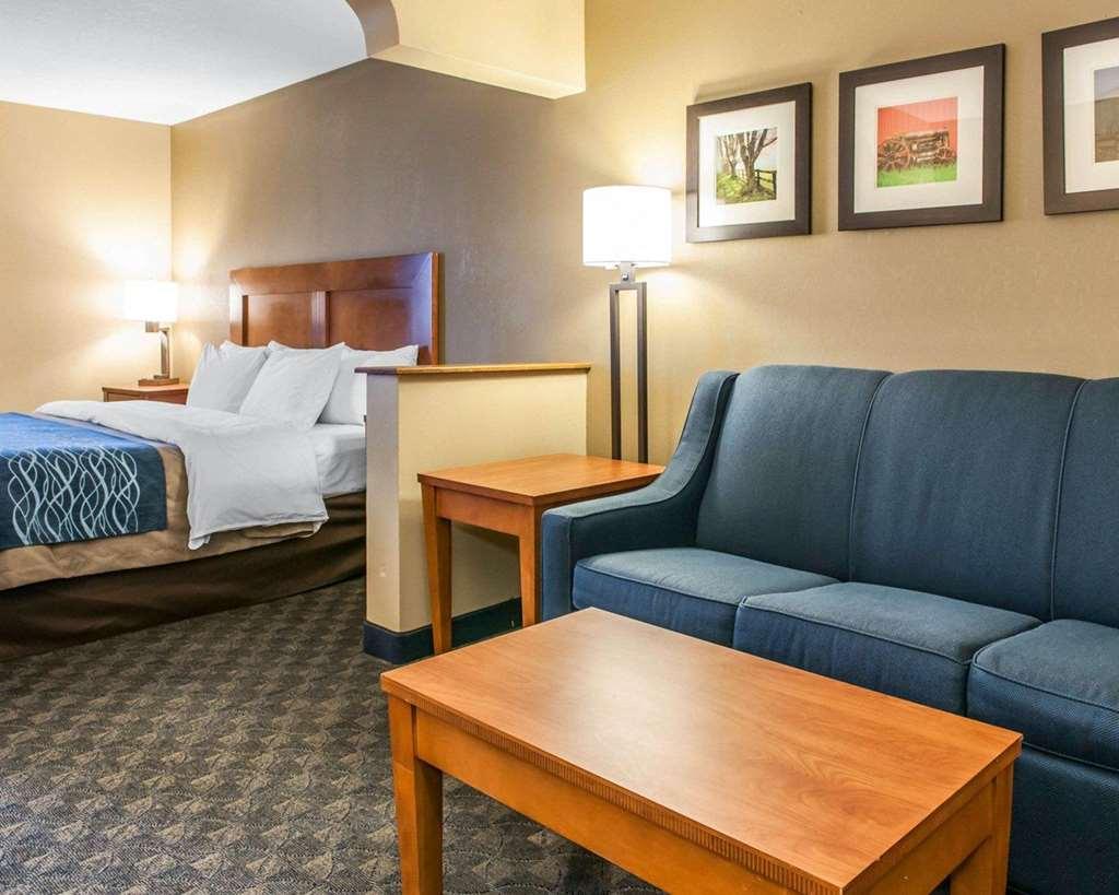 Comfort Inn&Suites Napoleon Chambre photo