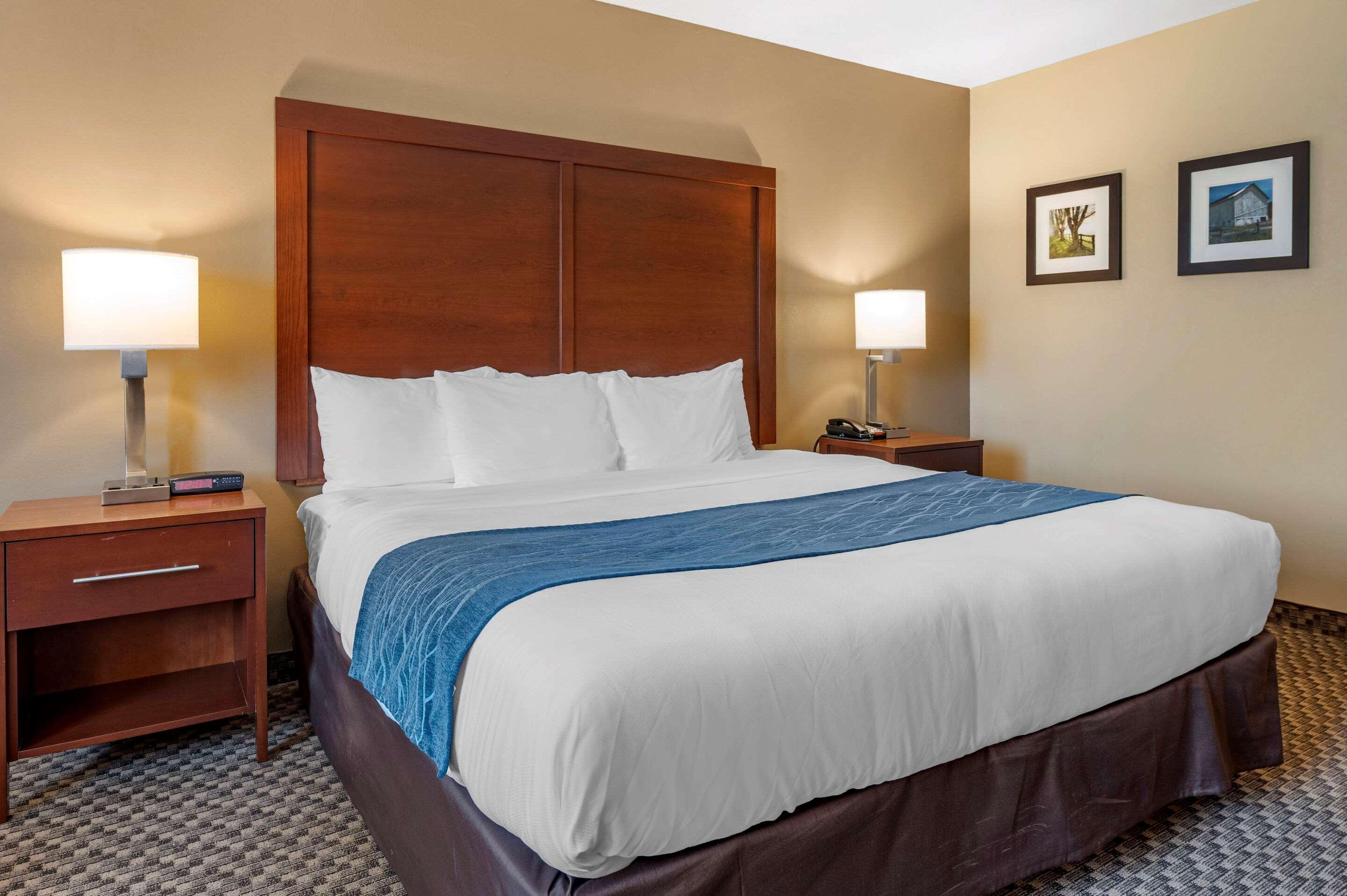Comfort Inn&Suites Napoleon Extérieur photo