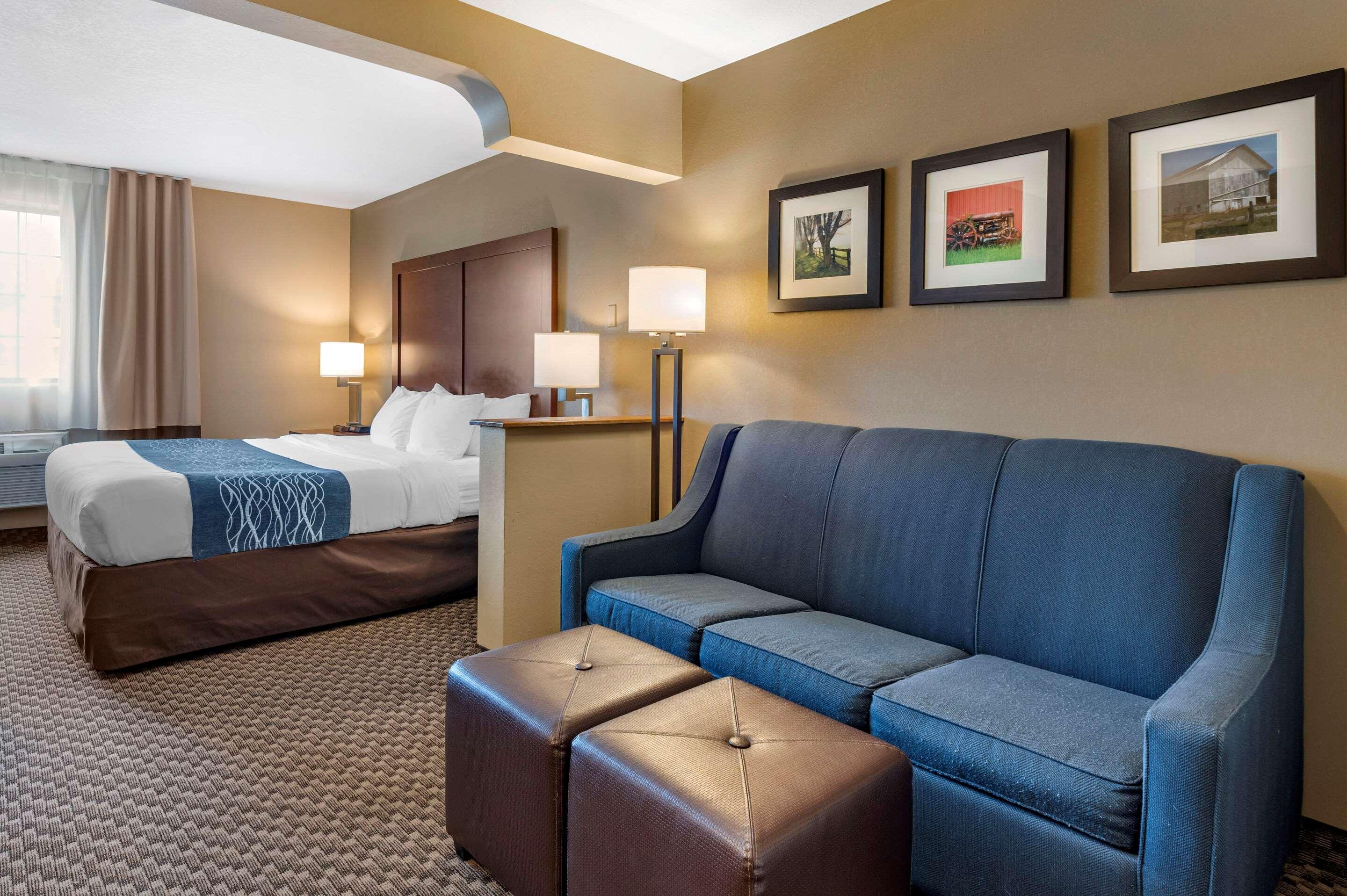 Comfort Inn&Suites Napoleon Extérieur photo